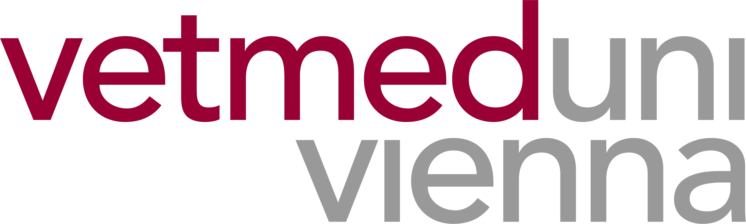 Oxytetrazyklin-Gabe zur Therapie des ‚Sehnenstelzfußes‘ des Fohlens